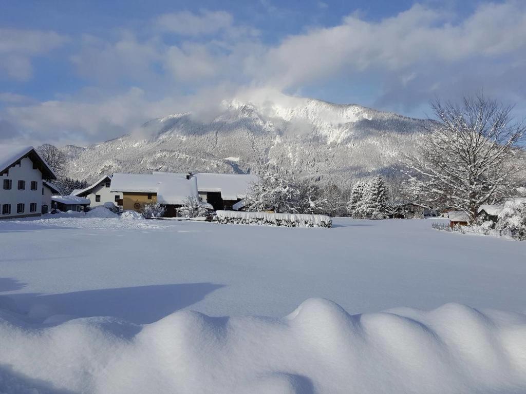Chiemgauferienwohnungen - Wanderlust Und Alpenrose Унтервёссен Экстерьер фото